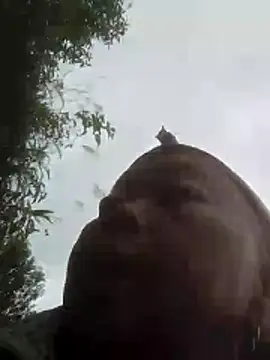 VangLe73's cam snapshot