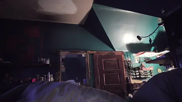 charactrzero live sex cam