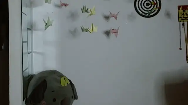 karoll8's cam snapshot