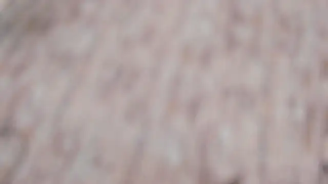 LishaSeirer's cam snapshot