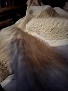 ludowrss's cam snapshot