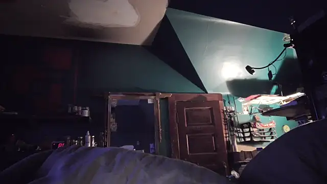 charactrzero's cam snapshot