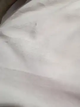 nat-tri's cam snapshot