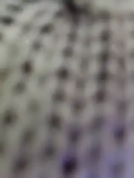 Hot-Sana2's cam snapshot