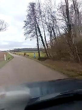 Dam70's cam snapshot