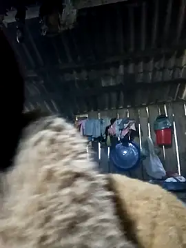 bonnie-00's cam snapshot