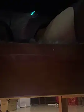 petoys's cam snapshot