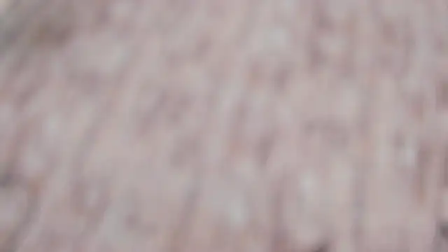 LishaSeirer live sex cam