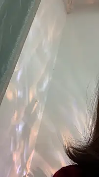 zhizhinaigai's cam snapshot