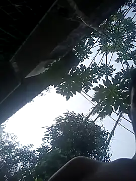 StripchatAssam93 live sex cam