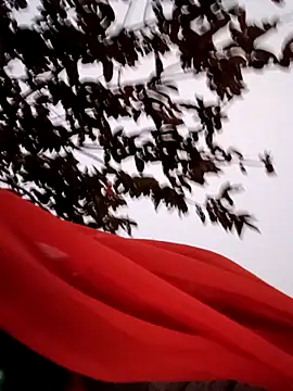 Rina55A's cam snapshot