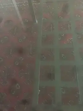 solomec live sex cam