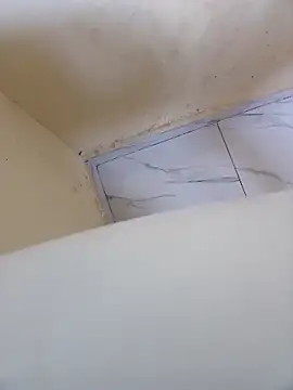 Mkhothiwesibumbu live sex cam