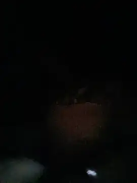 Janhvi_bhabhi_ji live sex cam