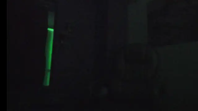 partyts's cam snapshot