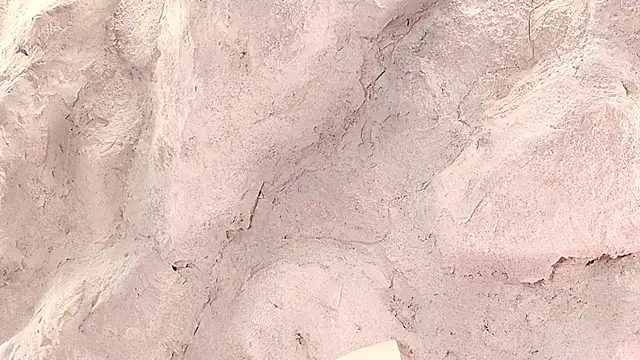 Stellaciel_'s cam snapshot