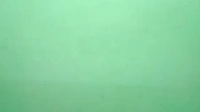 mishti_dash's cam snapshot