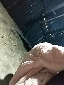 feli-00's cam snapshot