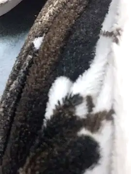 Laxmi_89's cam snapshot