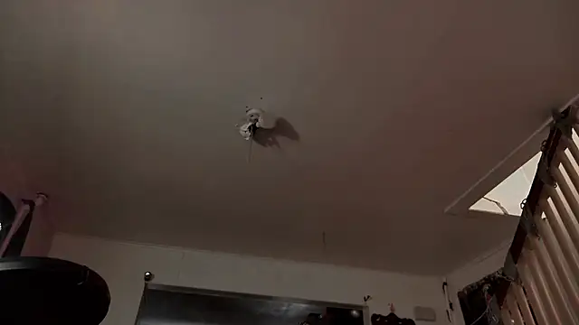 MasterDaddyCool's cam snapshot