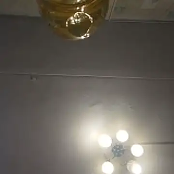 Tupo070481's cam snapshot