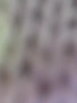 Hot-Sana2's cam snapshot