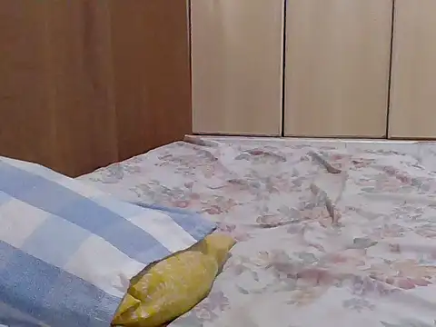 sweet-fancy's cam snapshot