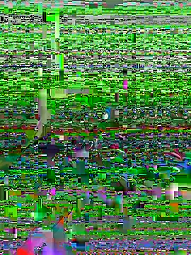 mikeylong live sex cam