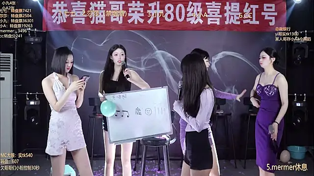 SK010's cam snapshot