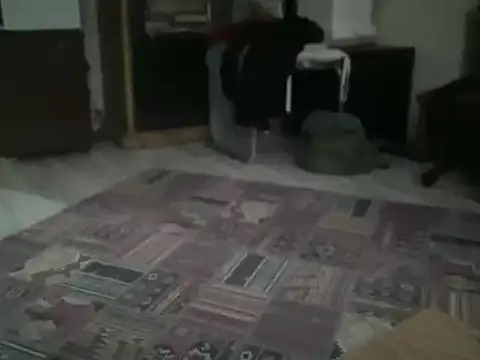 ALPHANDRE's cam snapshot