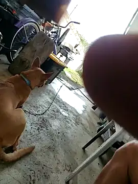 tropikboy live sex cam