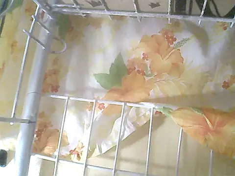 loriepinay46's cam snapshot