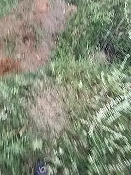 dolphiinn's cam snapshot