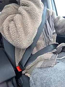 Zeefy's cam snapshot