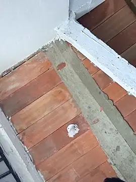 Cataleya_ja's cam snapshot