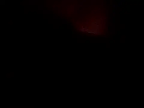 Hoanchaucachcach's cam snapshot