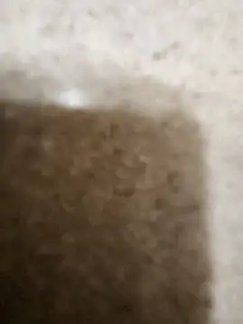 Dick4dope's cam snapshot