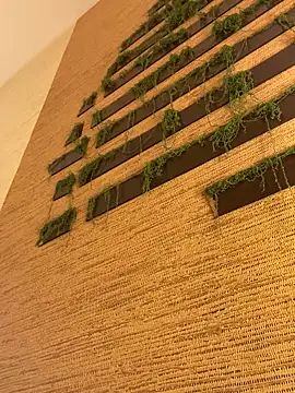 AlishaRuby's cam snapshot