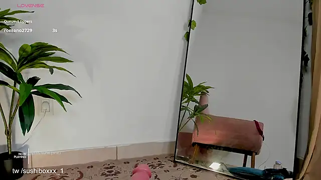 sushiboxxx live sex cam
