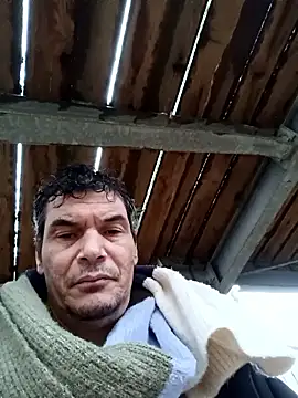 twitshe live sex cam