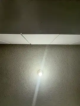 DominickVegas live sex cam