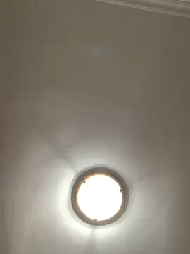 Zeynep-20's cam snapshot