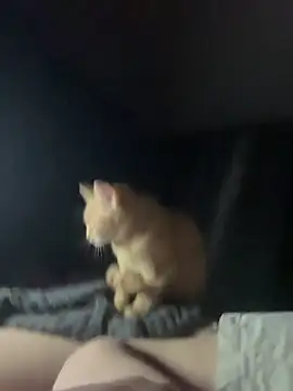 Naughtbaby_2025's cam snapshot