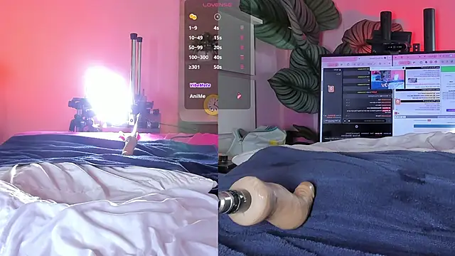 dollbrown's cam snapshot