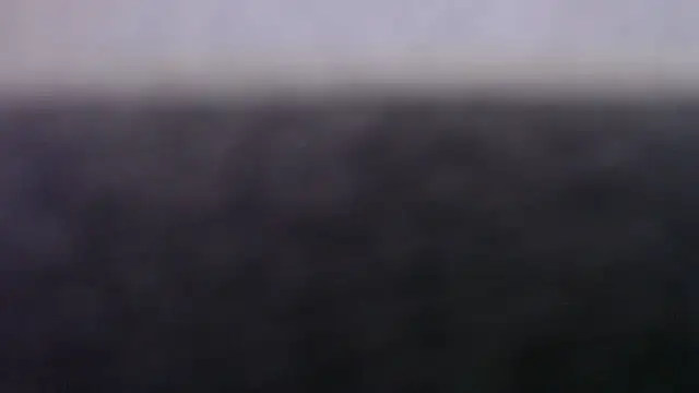 jellesexx live sex cam