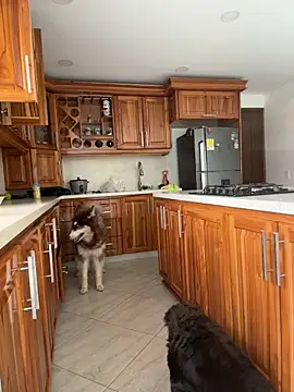 Arilw's cam snapshot