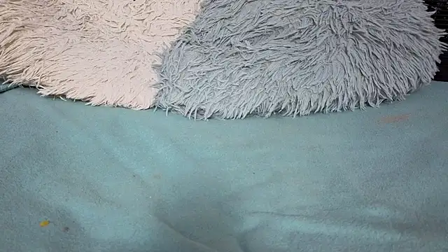 Emma_Foxi's cam snapshot