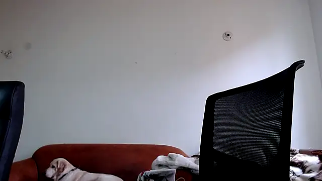 Dahian_XXX live sex cam