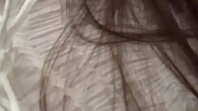 GuyedTheobid's cam snapshot