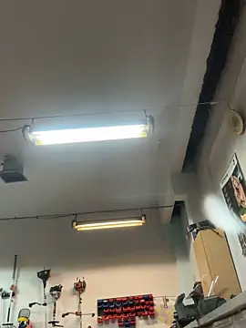 Czarnoksieznik's cam snapshot